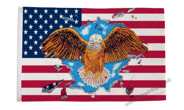 USA Eagle Flag